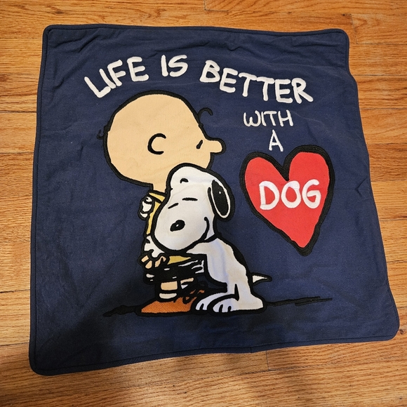 Pottery Barn Teen PEANUTS Pillow Sham Cases Pair (2) - Picture 7 of 15